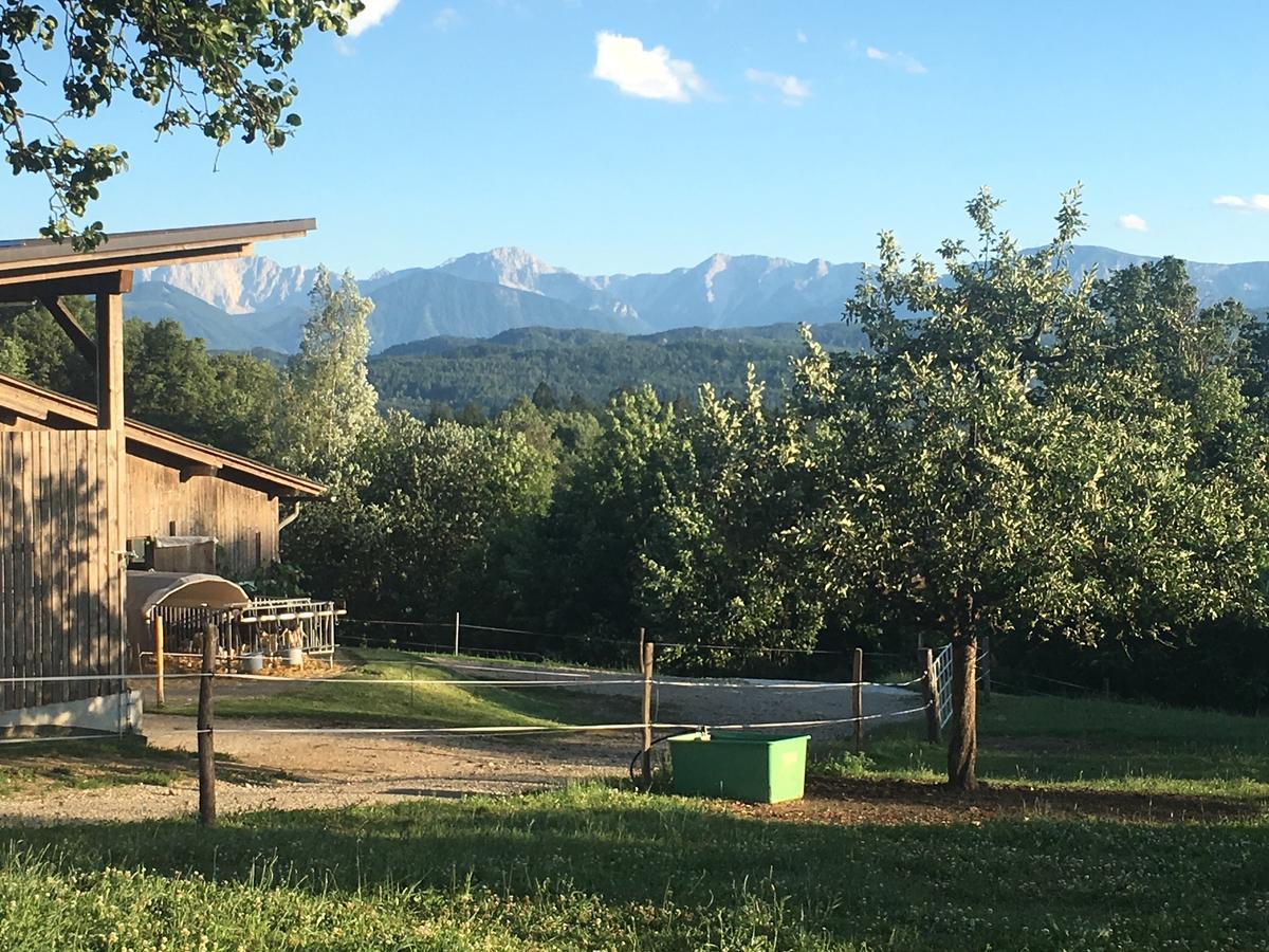 Kollehof Apartment Krumpendorf Bagian luar foto